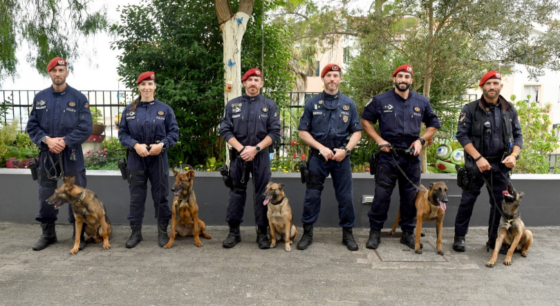 Imagem de Cidadão de 64 anos com alzheimer localizado por cão polícia