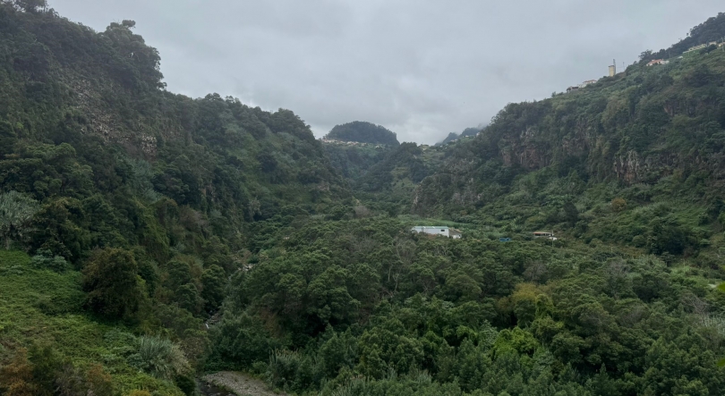 Imagem de Investimento público previsto de 36 milhões no golfe do Faial gera contestação (áudio)
