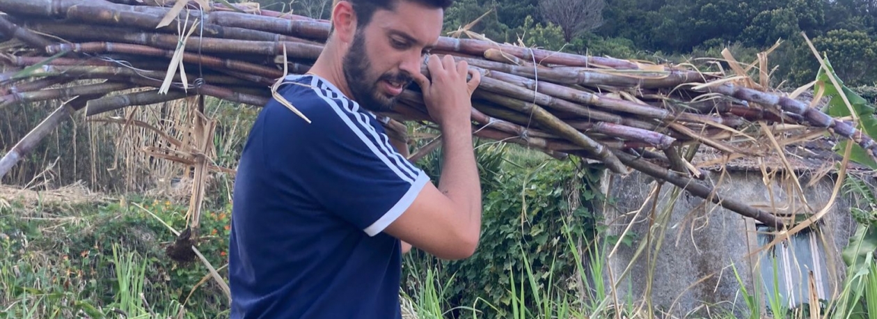 Imagem de Produtor considera aumento de 20 euros por tonelada insuficiente (áudio)