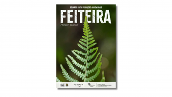 Imagem de ‘Feiteira’ mostra a importância da planta para a agricultura (áudio)