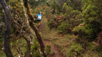 Imagem de Vítor Faria e Joana Soares venceram o KM Vertical do Fanal (vídeo)