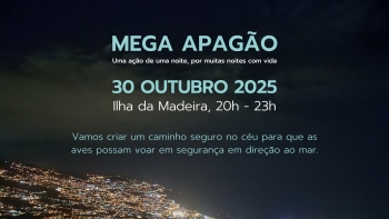 Imagem de SPEA lança desafio para apagão esta noite (áudio)