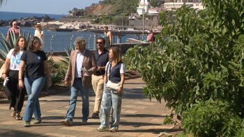 Imagem de IL recusa proibir carros de aluguer e TVDE no Funchal (vídeo)