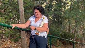 Imagem de Centenas de peregrinos sobem ao Santuário de Fátima (vídeo)