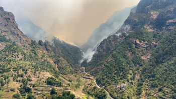 Imagem de Culpa fica “solteira” (vídeo)
