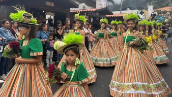 Imagem de Castanha volta a ser rainha no Curral das Freiras (vídeo)