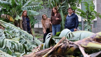 Imagem de PS exige “apoios rápidos e sem complicações” para os agricultores afetados pelo mau tempo (áudio)