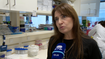 Imagem de Investigadora ganha bolsa milionária para estudar o envelhecimento (vídeo)