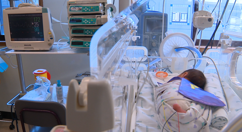 Imagem de Hospital Dr. Nélio Mendonça teve 45 prematuros internados este ano (vídeo)