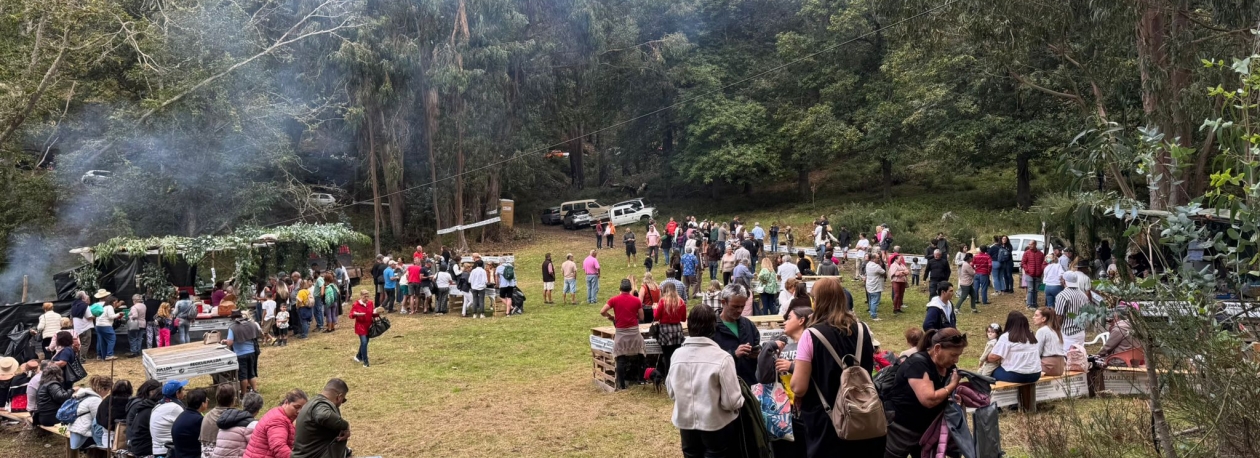 Imagem de Festa da Castanha da Serra recordou tempos antigos (vídeo)