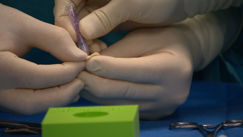 Imagem de Resistência aos antibióticos dificulta tratamento de infeções (vídeo)