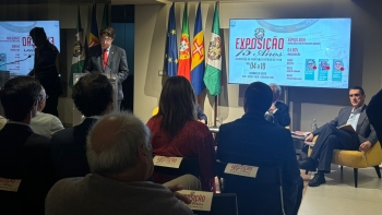 Imagem de Marítimo poderá ser obrigado a vender (áudio)