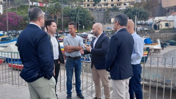 Imagem de Eurodeputado do PS diz que está disponível para colaborar com o Governo Regional (áudio)