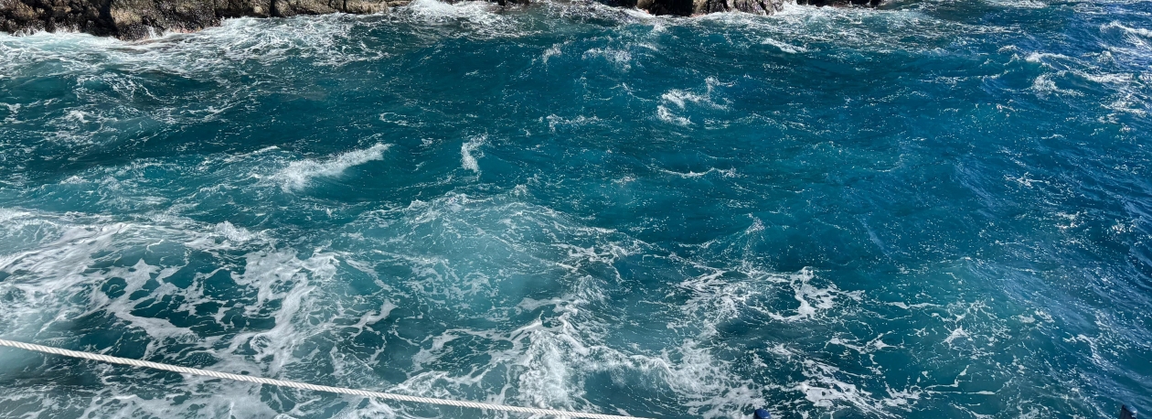 Imagem de ‘Claudia’ vai trazer mau tempo para a Madeira (vídeo)