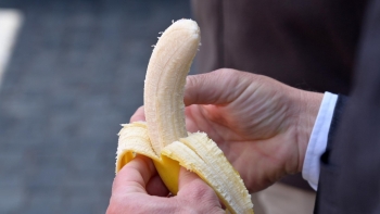 Imagem de Quebra na produção de banana na Madeira (áudio)