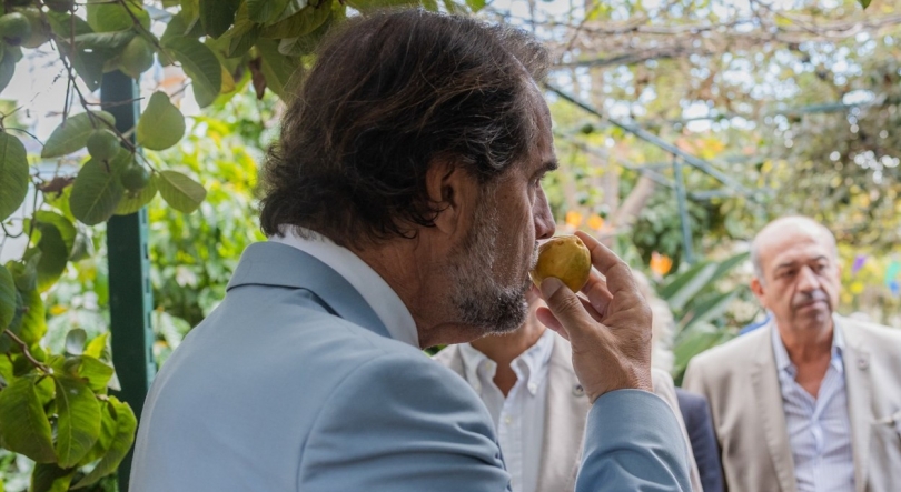 Imagem de Albuquerque acredita que vai ser alcançado um bom quadro comunitário de apoio (vídeo)