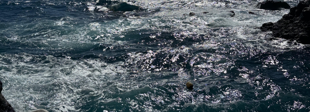 Imagem de Mar representa 12 por cento da economia da Região (áudio)