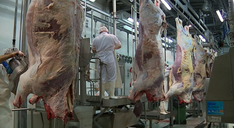 Imagem de Governo Regional determinou serviços mínimos no Centro de Abate