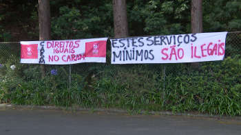 Imagem de Administração do Centro de Abate pede serviços mínimos ao Governo Regional (vídeo)