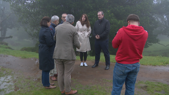 Imagem de PSD elogia medidas para um “turismo sustentável” do Governo Regional (vídeo)