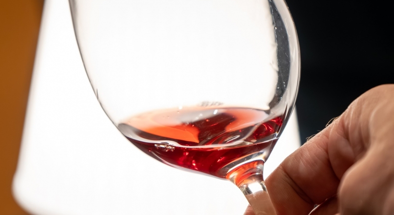 Imagem de Madeira atrai produtores de vinho nacionais (vídeo)