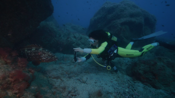 Imagem de Competição de mergulho envolveu 78 participantes (vídeo)