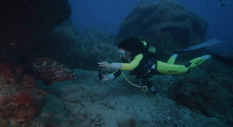 Imagem de Competição de mergulho envolveu 78 participantes (vídeo)