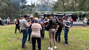Imagem de Achada do Boeiro celebrou a castanha da serra (áudio)