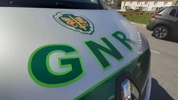 Imagem de Detidos pela PJ na “Safra Justa” interrogados quarta-feira em Lisboa