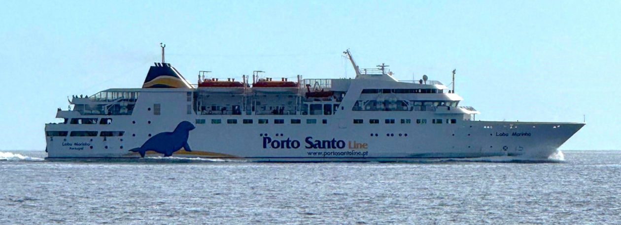 Imagem de Porto Santo Line cancelou as viagens do navio Lobo Marinho na segunda-feira