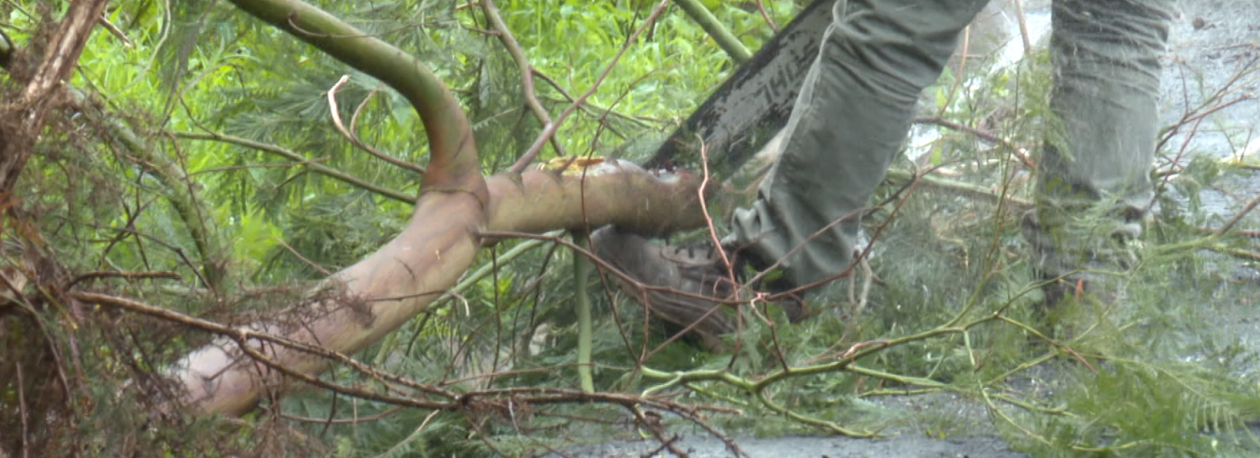 Imagem de Proteção Civil registou apenas onze ocorrências (vídeo)