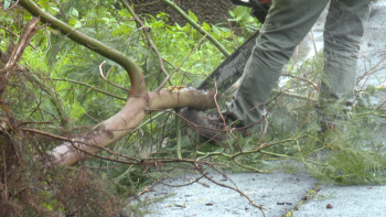 Imagem de Proteção Civil registou apenas onze ocorrências (vídeo)