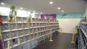 Imagem de Centro Cívico de São Martinho acolhe 700 pássaros (áudio)