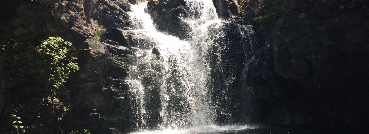 Imagem de Estrada de acesso ao Rabaçal e percursos pedestres encerrados esta tarde (áudio)