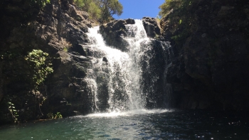 Imagem de Estrada de acesso ao Rabaçal e percursos pedestres encerrados esta tarde (áudio)