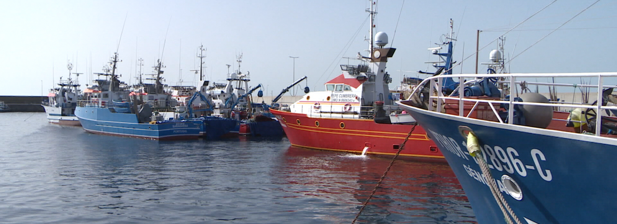 Imagem de Setor das pescas pode perder 60% de fundos comunitários (vídeo)