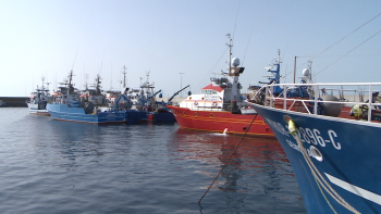 Imagem de Setor das pescas pode perder 60% de fundos comunitários (vídeo)