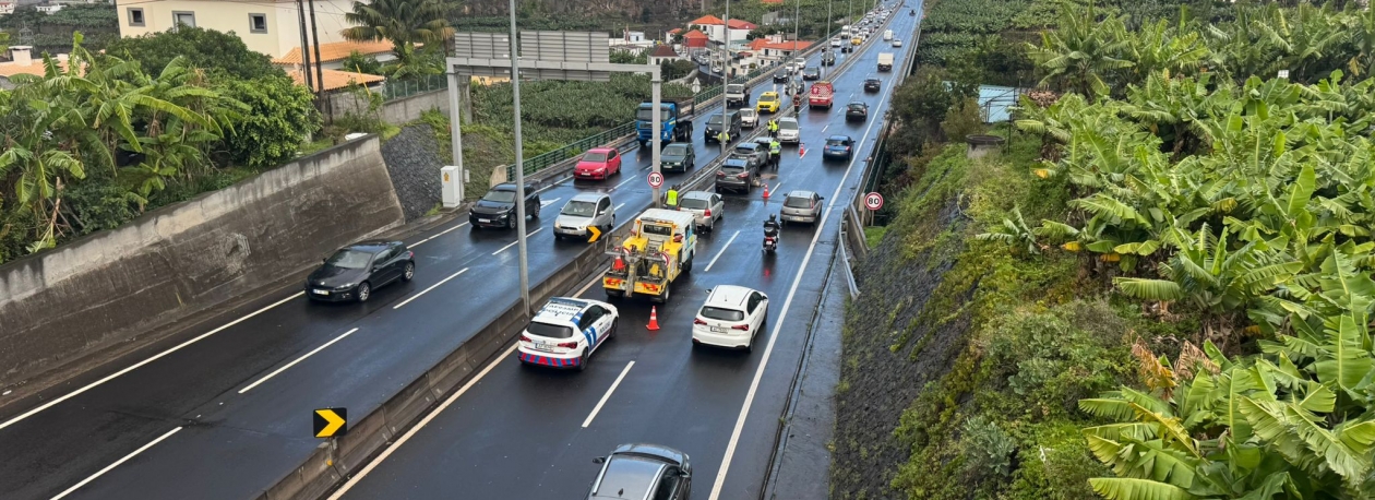 Imagem de Registadas 12 vítimas mortais nas estradas da Região em 2025 (áudio)