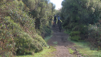 Imagem de CN Seixal quer avançar com próximas fases do Centro de Cyclin Portugal (vídeo)
