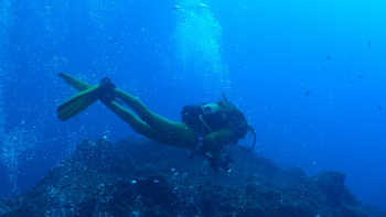Imagem de Oceano em exposição no Museu de História Natural do Funchal (áudio)