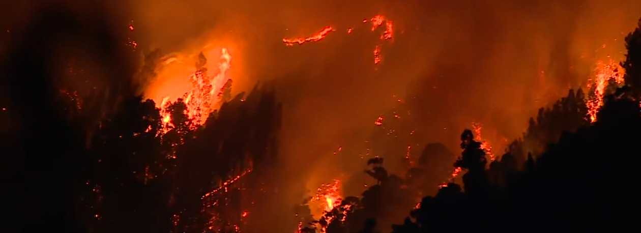 Imagem de 261 incêndios rurais na Madeira em 2025 (vídeo)