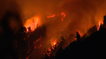 Imagem de 261 incêndios rurais na Madeira em 2025 (vídeo)