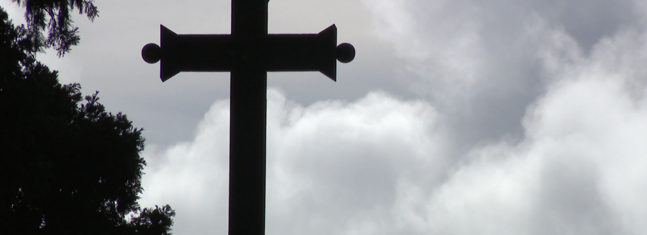 Imagem de Dia de Todos os Santos com muitas flores (vídeo)