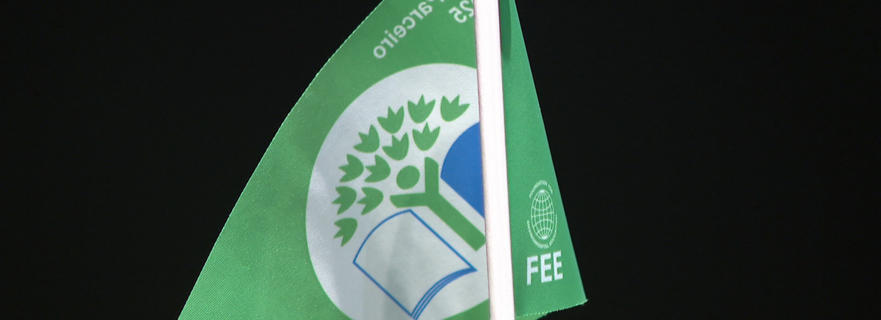 Imagem de 39 escolas do Funchal com “bandeira verde” do projeto eco-Escolas (vídeo)