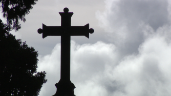 Imagem de Dia de Todos os Santos com muitas flores (vídeo)