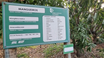 Imagem de Produção de árvores de fruto exóticas e subtropicais (áudio)