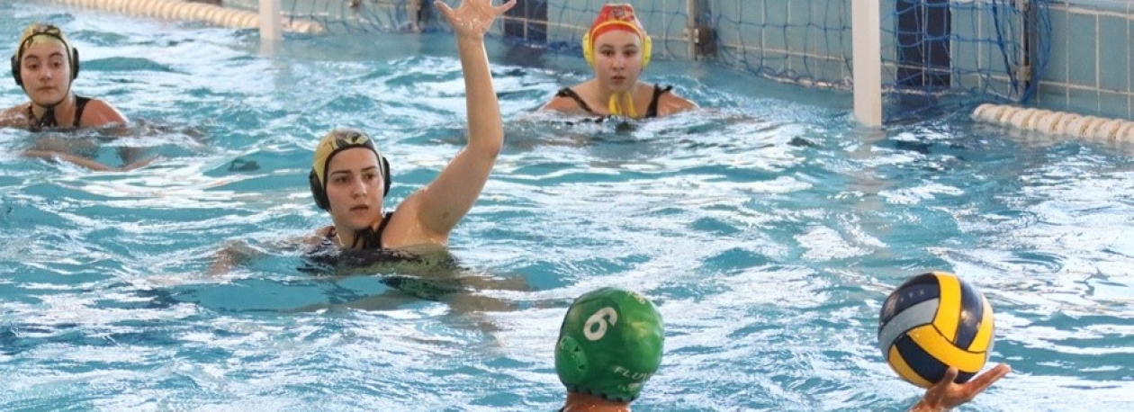 Imagem de Madeira recebe europeu de polo aquático feminino em 2026 (vídeo)