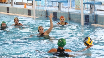 Imagem de Madeira recebe europeu de polo aquático feminino em 2026 (vídeo)
