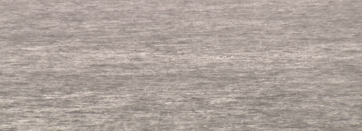 Imagem de Acesso ao mar fechado ao longo de toda a costa da Madeira (áudio)