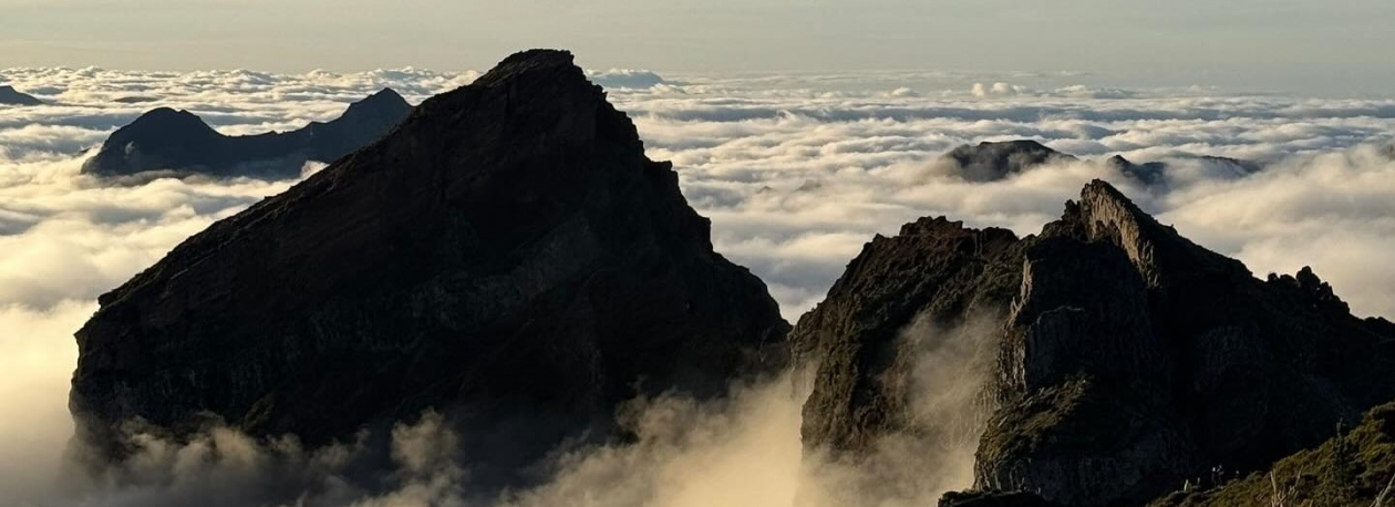 Imagem de Madeira vence o ‘Melhor Destino Insular do Mundo’ pelo 11.º ano consecutivo